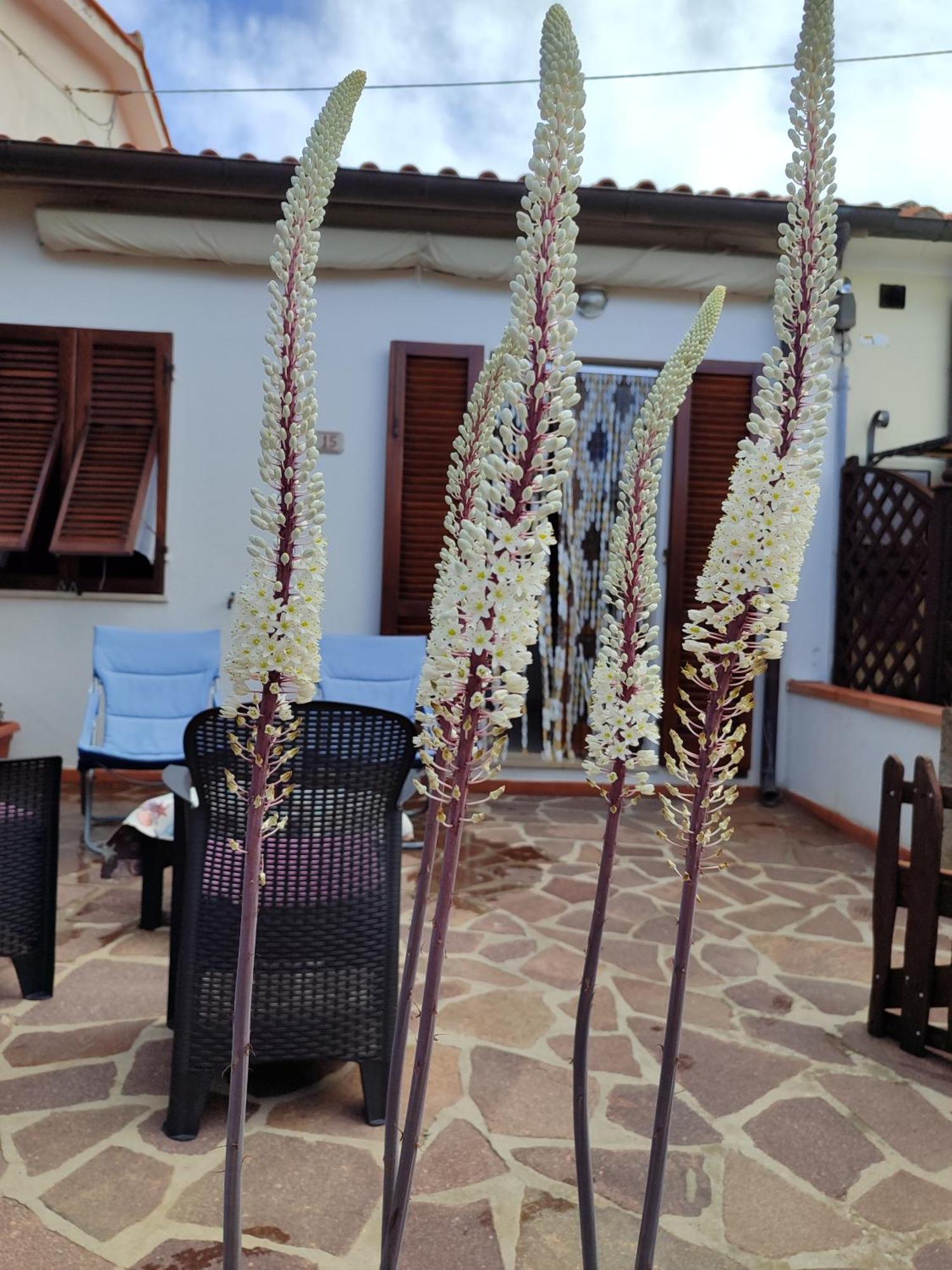 Panorama Holiday home La Guardia